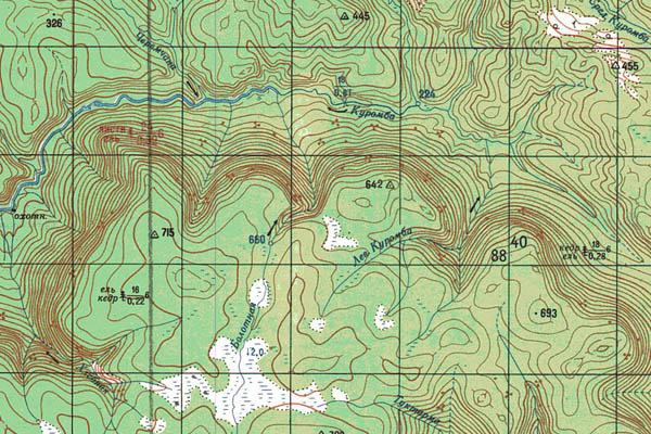 Уменьшенный фрагмент представленной топографической карты P-46-27_28 - Trasa.ru