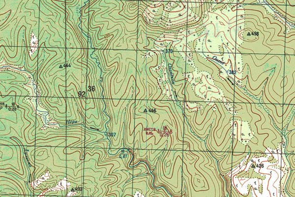 Уменьшенный фрагмент представленной топографической карты P-46-29_30 - Trasa.ru