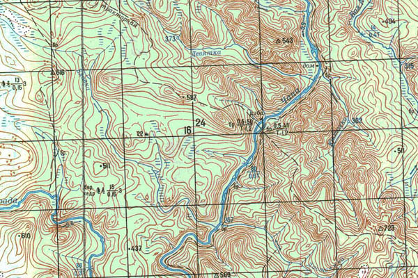 Уменьшенный фрагмент представленной топографической карты P-46-31_32 - Trasa.ru