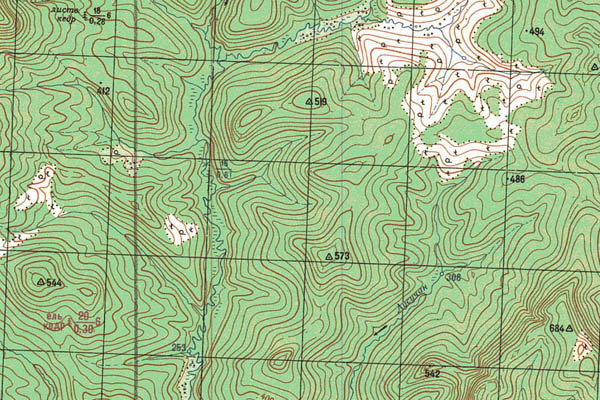 Уменьшенный фрагмент представленной топографической карты P-46-35_36 - Trasa.ru