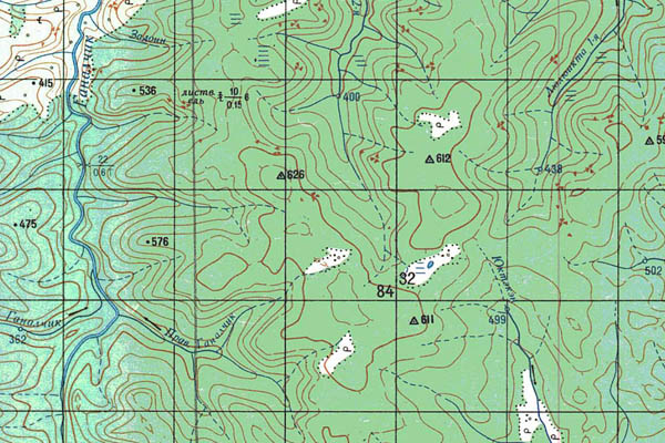 Уменьшенный фрагмент представленной топографической карты P-47-03_04 - Trasa.ru