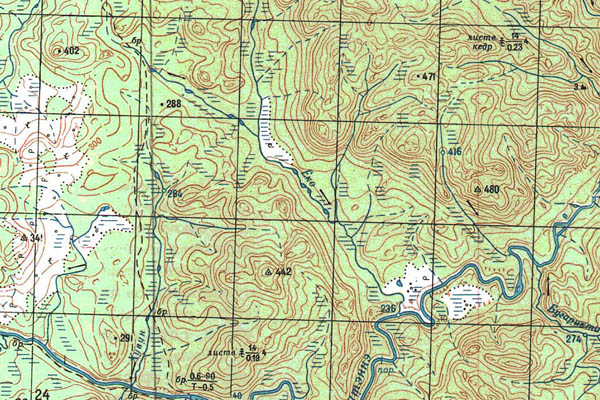 Уменьшенный фрагмент представленной топографической карты P-47-17_18 - Trasa.ru