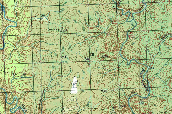 Уменьшенный фрагмент представленной топографической карты P-47-19_20 - Trasa.ru