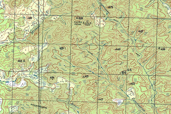 Уменьшенный фрагмент представленной топографической карты P-47-23_24 - Trasa.ru