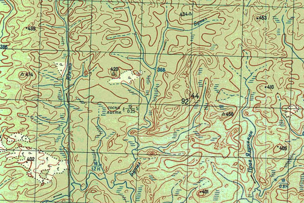 Уменьшенный фрагмент представленной топографической карты P-47-29_30 - Trasa.ru