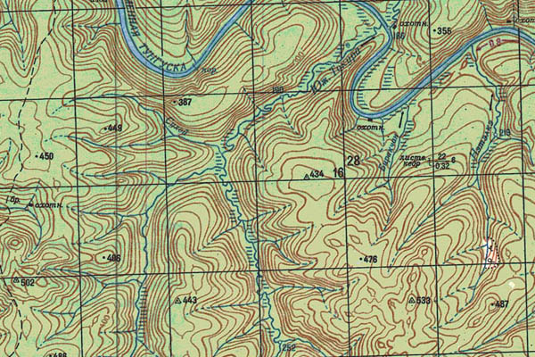 Уменьшенный фрагмент представленной топографической карты P-47-31_32 - Trasa.ru