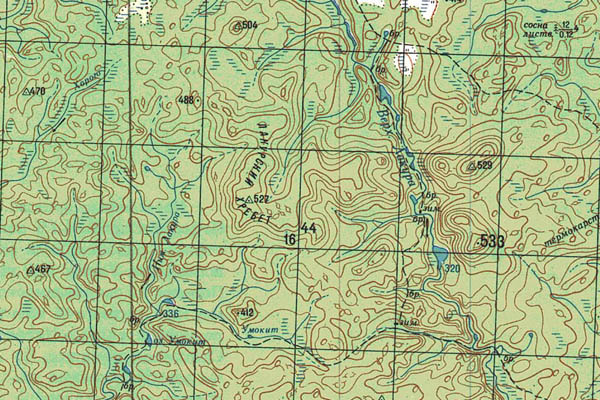 Уменьшенный фрагмент представленной топографической карты P-47-35_36 - Trasa.ru
