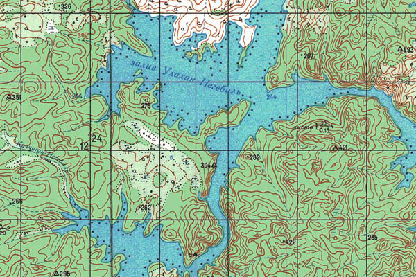 Уменьшенный фрагмент представленной топографической карты P-49-09_10 - Trasa.ru