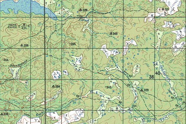Уменьшенный фрагмент представленной топографической карты P-49-15_16 - Trasa.ru