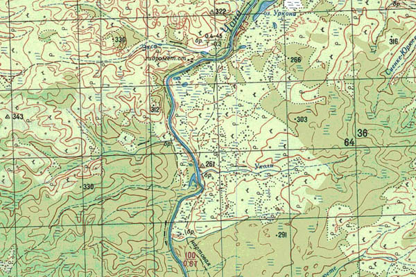 Уменьшенный фрагмент представленной топографической карты P-49-19_20 - Trasa.ru