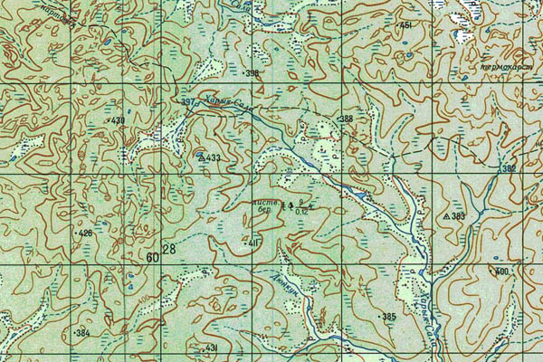 Уменьшенный фрагмент представленной топографической карты P-49-21_22 - Trasa.ru