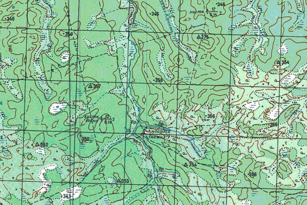 Уменьшенный фрагмент представленной топографической карты P-49-23_24 - Trasa.ru