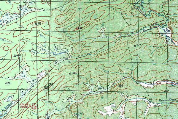 Уменьшенный фрагмент представленной топографической карты P-49-29_30 - Trasa.ru