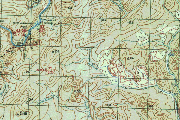 Уменьшенный фрагмент представленной топографической карты P-49-35_36 - Trasa.ru
