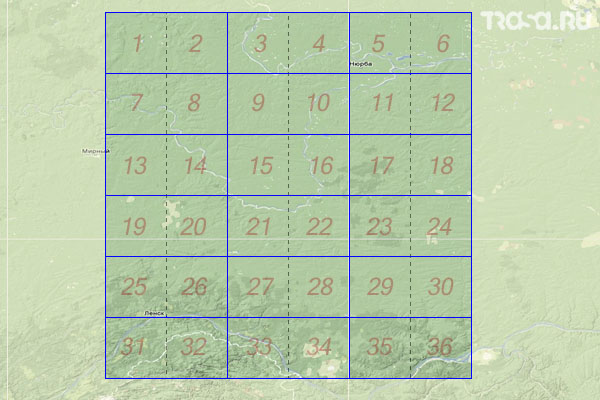 Набор топографических карт квадрата P-50 - Trasa.ru