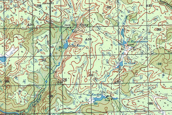 Уменьшенный фрагмент представленной топографической карты P-50-01_02 - Trasa.ru