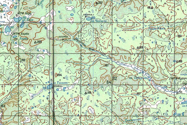 Уменьшенный фрагмент представленной топографической карты P-50-03_04 - Trasa.ru