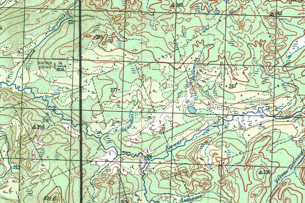 Уменьшенный фрагмент представленной топографической карты P-50-17_18 - Trasa.ru