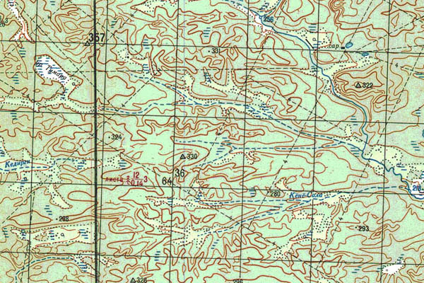 Уменьшенный фрагмент представленной топографической карты P-50-23_24 - Trasa.ru