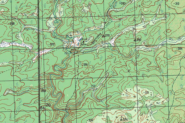 Уменьшенный фрагмент представленной топографической карты P-50-25_26 - Trasa.ru