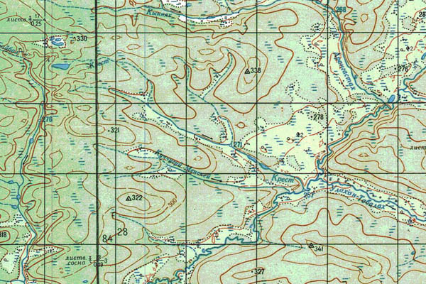 Уменьшенный фрагмент представленной топографической карты P-50-27_28 - Trasa.ru
