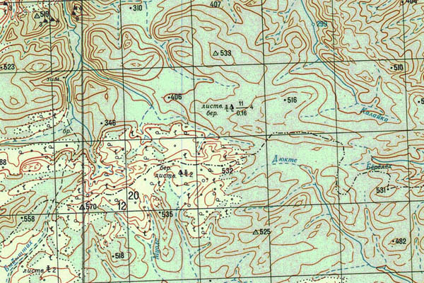 Уменьшенный фрагмент представленной топографической карты P-50-31_32 - Trasa.ru
