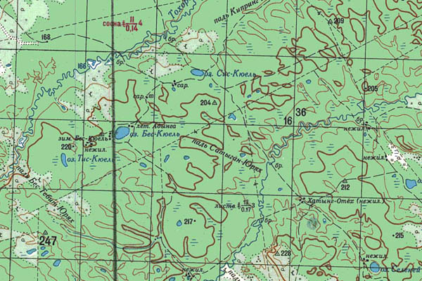 Уменьшенный фрагмент представленной топографической карты P-51-11_12 - Trasa.ru