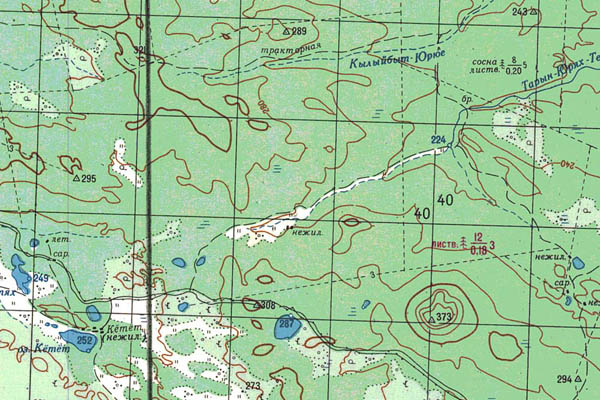 Уменьшенный фрагмент представленной топографической карты P-51-17_18 - Trasa.ru