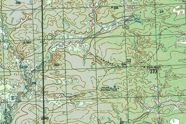 Уменьшенный фрагмент представленной топографической карты P-51-19_20 - Trasa.ru