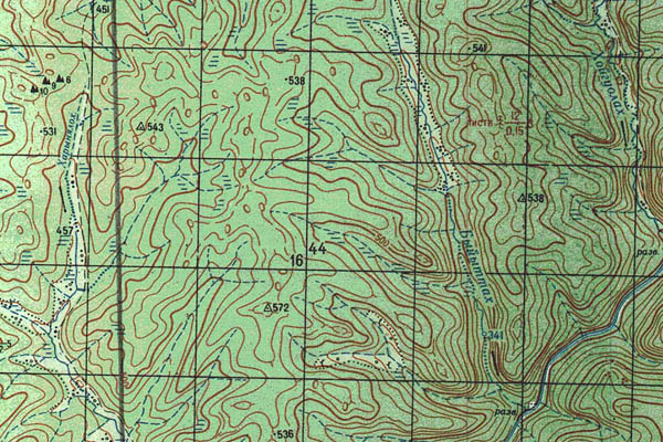 Уменьшенный фрагмент представленной топографической карты P-51-35_36 - Trasa.ru