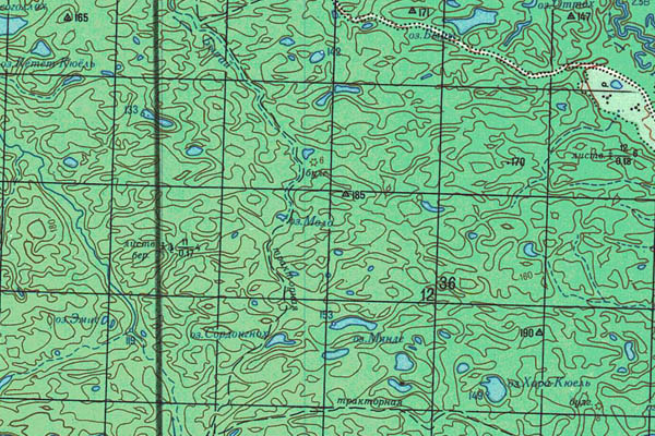 Уменьшенный фрагмент представленной топографической карты P-52-11_12 - Trasa.ru