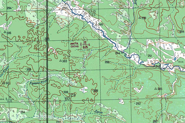 Уменьшенный фрагмент представленной топографической карты P-52-19_20 - Trasa.ru