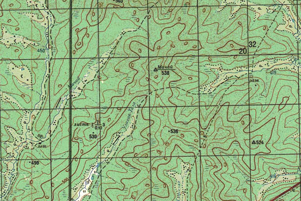 Уменьшенный фрагмент представленной топографической карты P-52-31_32 - Trasa.ru
