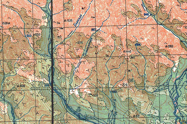 Уменьшенный фрагмент представленной топографической карты P-53-01_02 - Trasa.ru