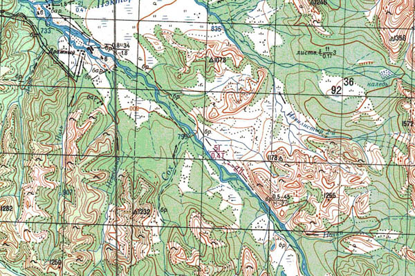 Уменьшенный фрагмент представленной топографической карты P-54-05_06 - Trasa.ru