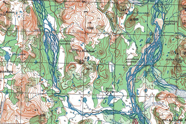 Уменьшенный фрагмент представленной топографической карты P-54-29_30 - Trasa.ru