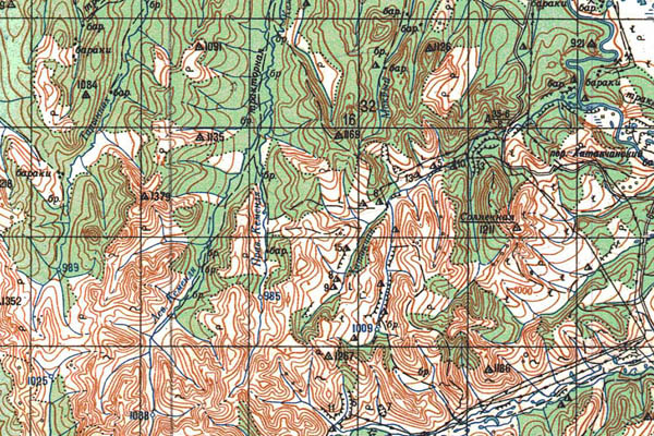 Уменьшенный фрагмент представленной топографической карты P-55-09_10 - Trasa.ru