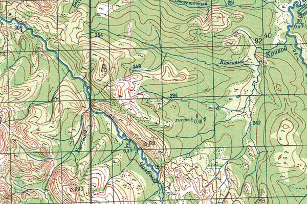 Уменьшенный фрагмент представленной топографической карты P-56-01_02 - Trasa.ru