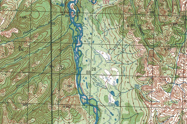 Уменьшенный фрагмент представленной топографической карты P-56-05_06 - Trasa.ru