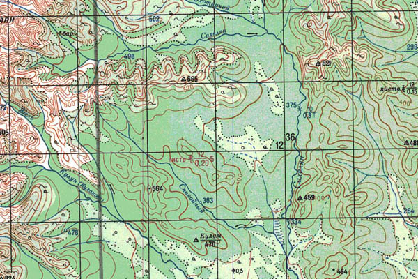 Уменьшенный фрагмент представленной топографической карты P-56-09_10 - Trasa.ru