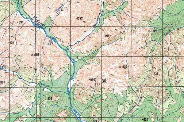Уменьшенный фрагмент представленной топографической карты P-56-33_34 - Trasa.ru