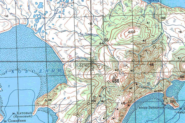 Уменьшенный фрагмент представленной топографической карты P-58-19_20 - Trasa.ru