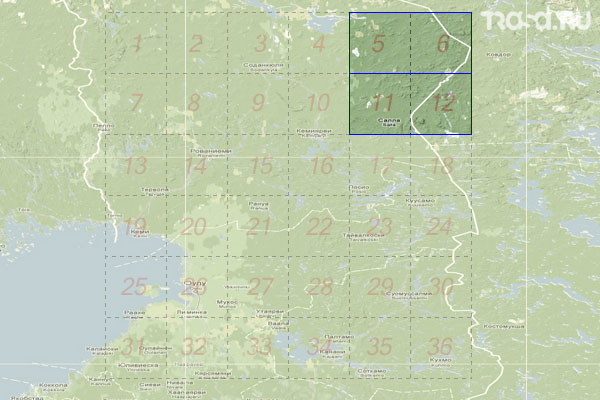 Набор топографических карт квадрата Q-35 - Trasa.ru