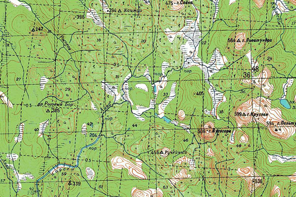 Уменьшенный фрагмент представленной топографической карты Q-36-01_02 - Trasa.ru