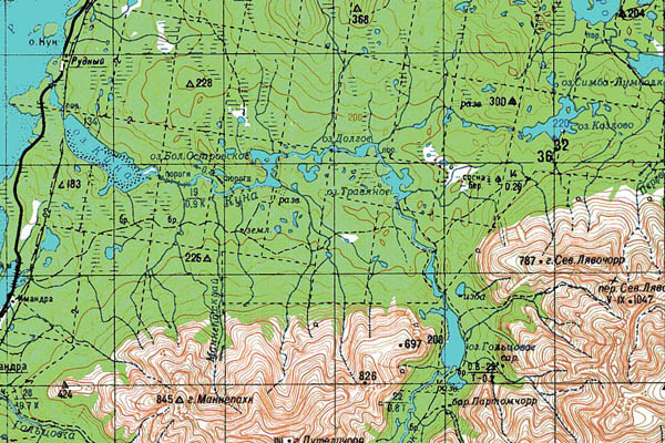 Уменьшенный фрагмент представленной топографической карты Q-36-03_04 - Trasa.ru
