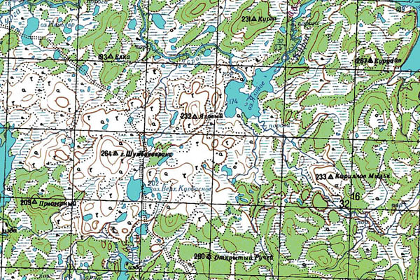 Уменьшенный фрагмент представленной топографической карты Q-36-05_06 - Trasa.ru