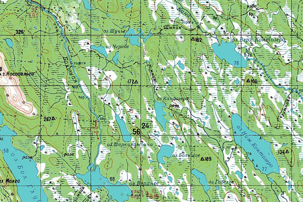 Уменьшенный фрагмент представленной топографической карты Q-36-09_10 - Trasa.ru
