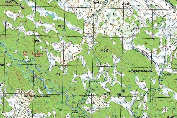 Уменьшенный фрагмент представленной топографической карты Q-36-11_12 - Trasa.ru