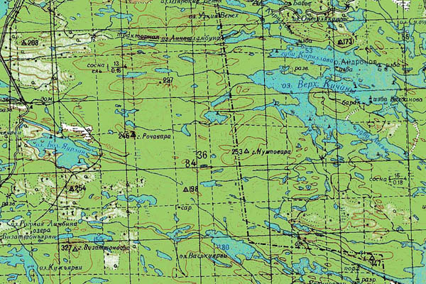 Уменьшенный фрагмент представленной топографической карты Q-36-13_14 - Trasa.ru