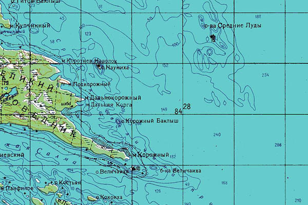 Уменьшенный фрагмент представленной топографической карты Q-36-15_16 - Trasa.ru